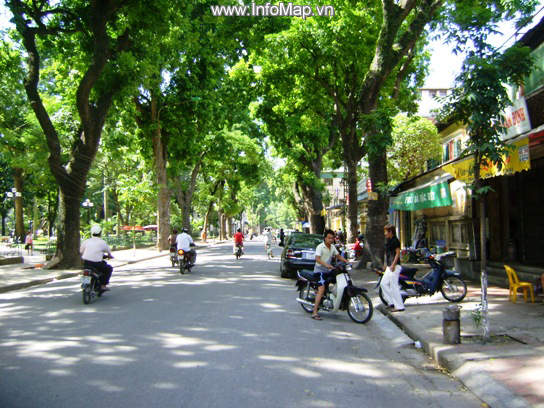 Phố Trần Thánh Tông, Quận Hai Bà Trưng, Hà Nội